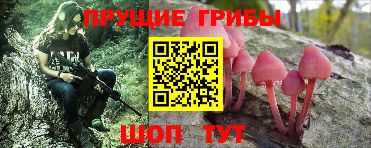 Галлюциногенные грибы Cubensis Вышний Волочёк