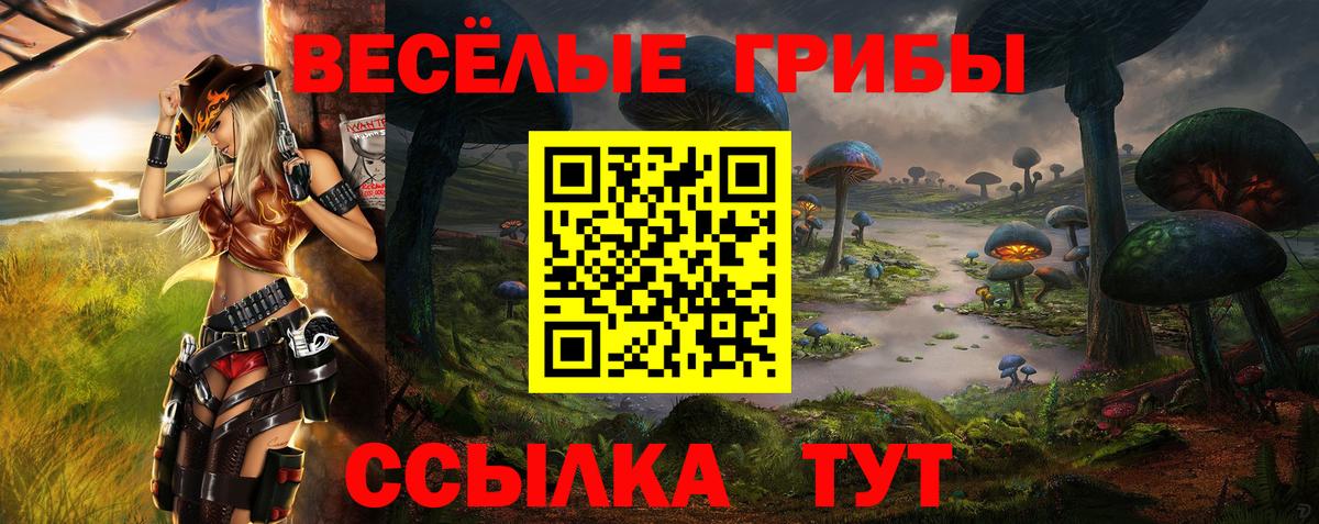 Псилоцибиновые грибы мицелий  Вход с VPN  Вышний Волочёк  Псилоцибиновые грибы мицелий 